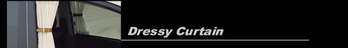 Dressy Curtain